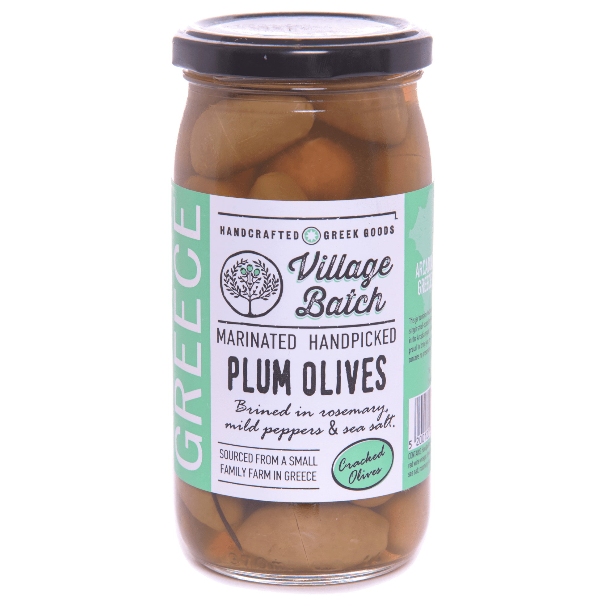 Plum Olives - Hortiport